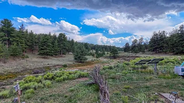 308 Dilley Lane Westcliffe, CO 81252