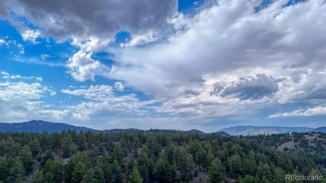 308 Dilley Lane Westcliffe, CO 81252