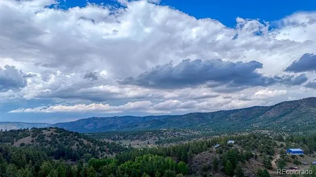 308 Dilley Lane Westcliffe, CO 81252