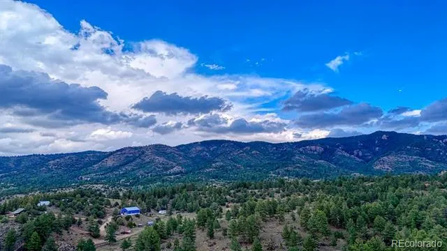 308 Dilley Lane Westcliffe, CO 81252