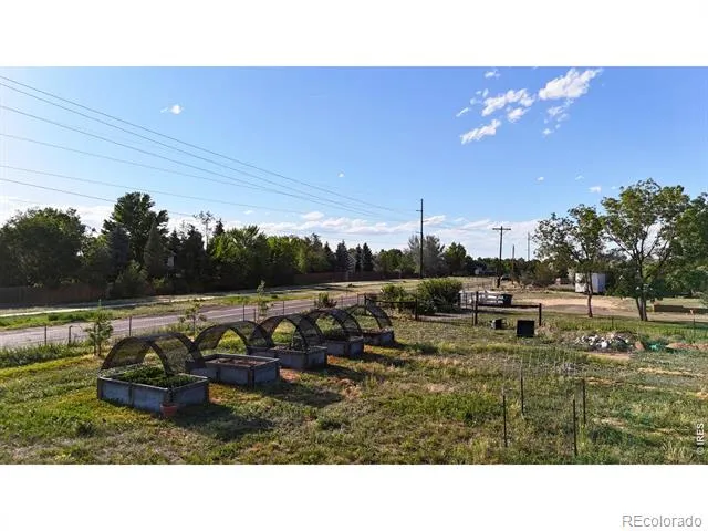 8042 Silver Birch Boulevard Frederick, CO 80504