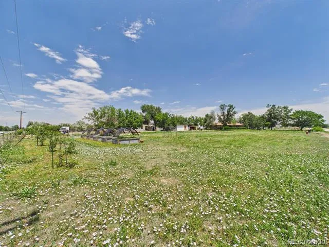 8042 Silver Birch Boulevard Frederick, CO 80504