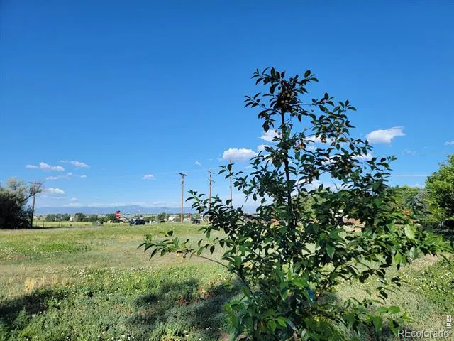 8042 Silver Birch Boulevard Frederick, CO 80504