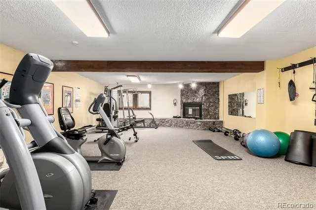 37 Tally Ho Court #110 Dillon, CO 80435