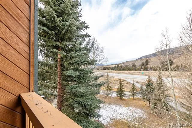 37 Tally Ho Court #110 Dillon, CO 80435