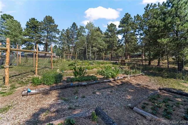 28894 Corkwood Lane Evergreen, CO 80439