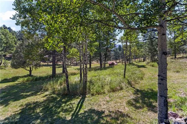 28894 Corkwood Lane Evergreen, CO 80439
