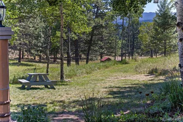 28894 Corkwood Lane Evergreen, CO 80439