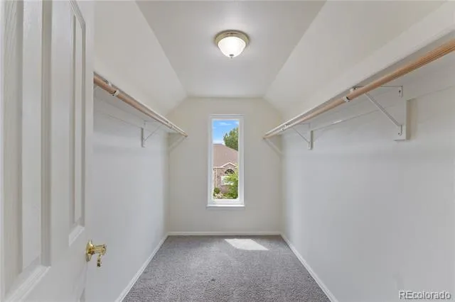 1136 Vista Oaks Drive Colorado Springs, CO 80921