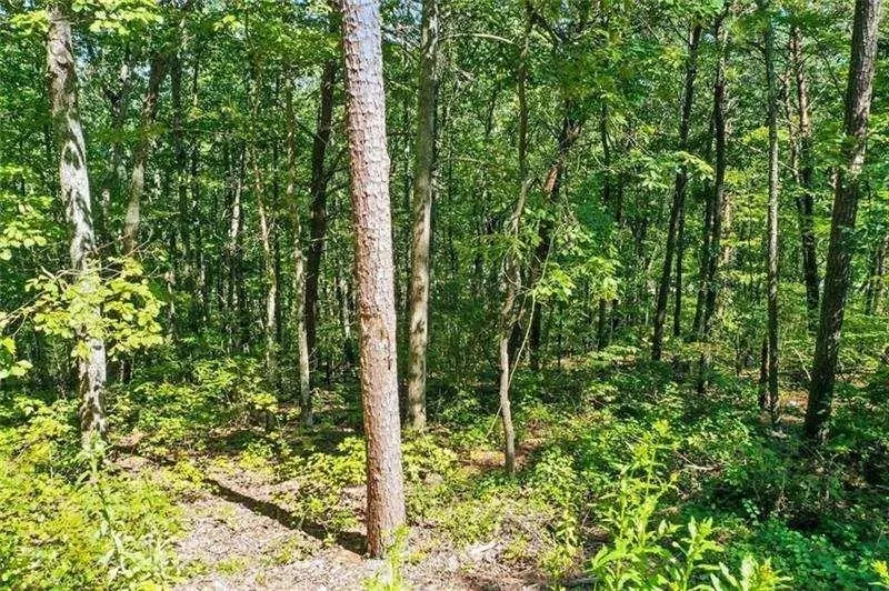 0 Debord Drive Waleska, GA 30183