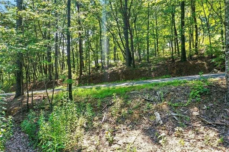 0 Debord Drive Waleska, GA 30183