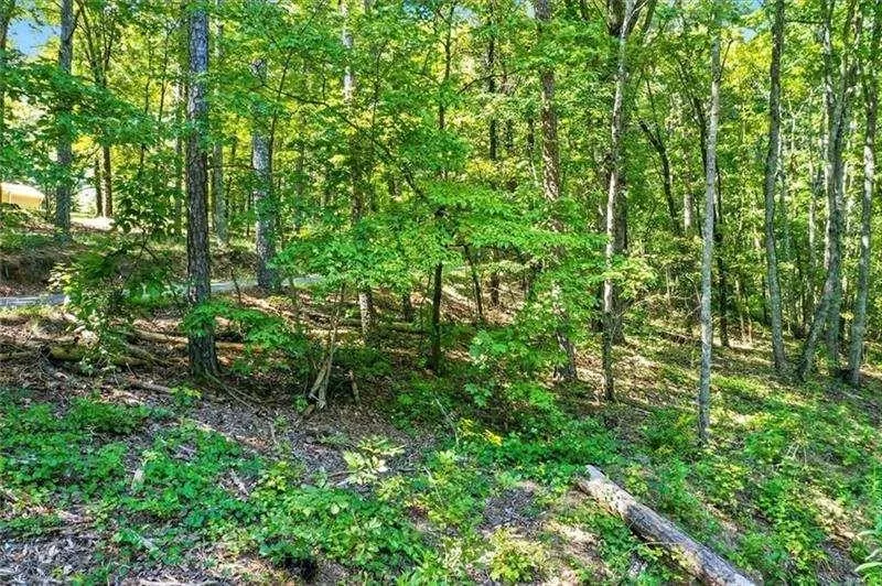 0 Debord Drive Waleska, GA 30183