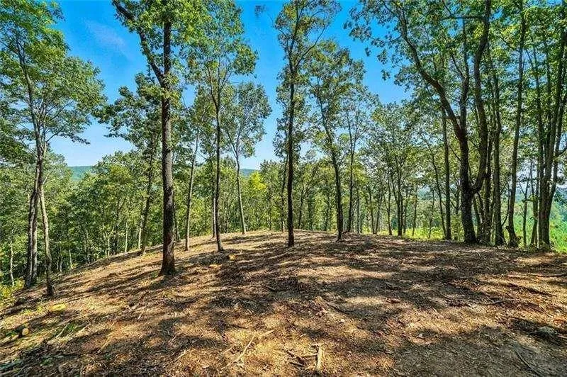0 Debord Drive Waleska, GA 30183