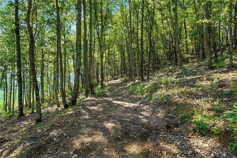 0 Debord Drive Waleska, GA 30183