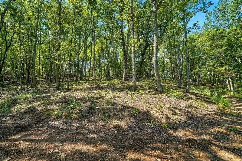 0 Debord Drive Waleska, GA 30183