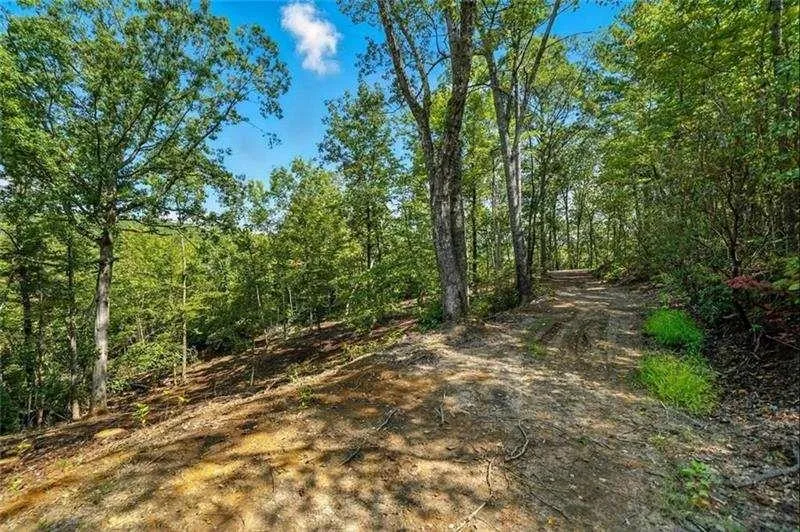 0 Debord Drive Waleska, GA 30183