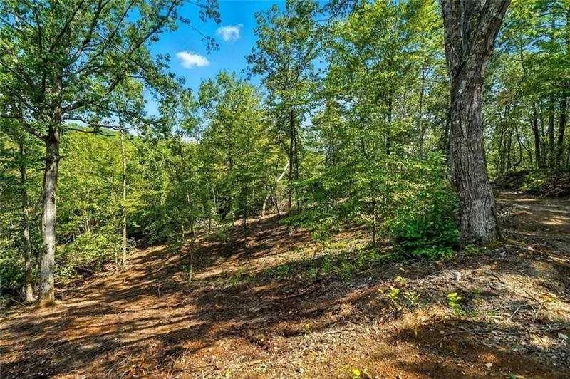 0 Debord Drive Waleska, GA 30183