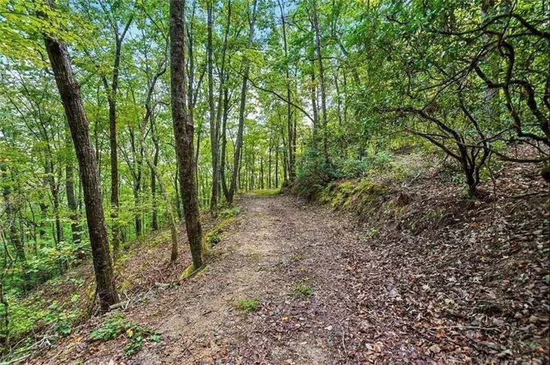0 Debord Drive Waleska, GA 30183