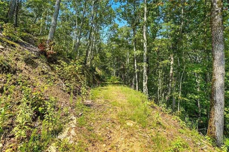 0 Debord Drive Waleska, GA 30183
