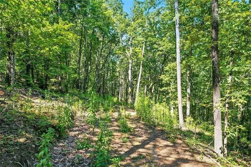 0 Debord Drive Waleska, GA 30183