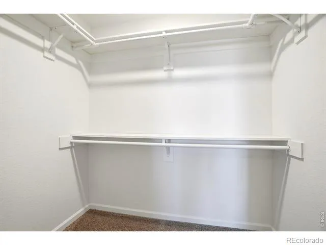 4108 Caruso Street Evans, CO 80620
