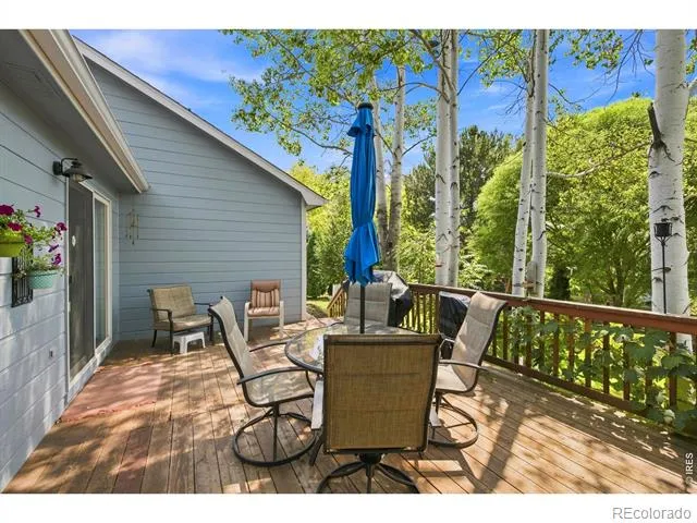 510 Black Hawk Drive Eaton, CO 80615