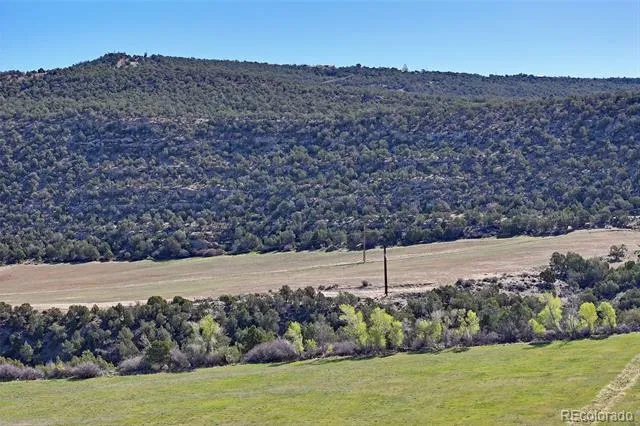 12482 54 7/10 ROAD Molina, CO 81646