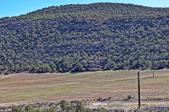 12482 54 7/10 ROAD Molina, CO 81646