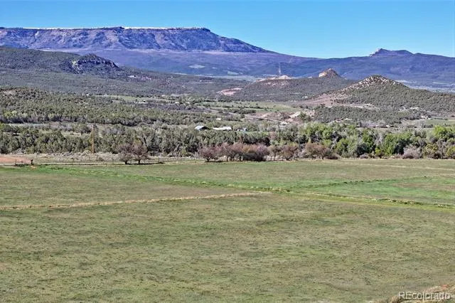 12482 54 7/10 ROAD Molina, CO 81646