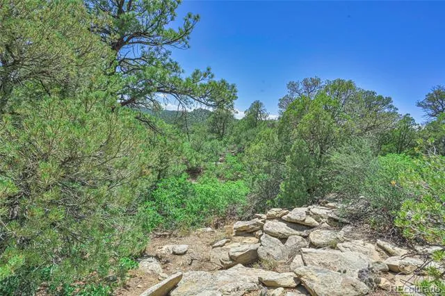Fishers Peak Ranch Lot 14 Trinidad, CO 81082