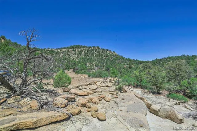 Fishers Peak Ranch Lot 14 Trinidad, CO 81082