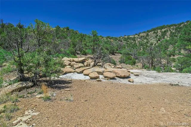 Fishers Peak Ranch Lot 14 Trinidad, CO 81082