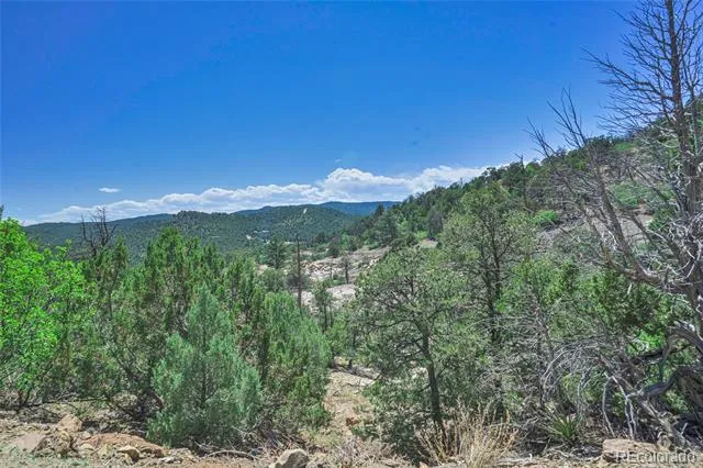 Fishers Peak Ranch Lot 14 Trinidad, CO 81082