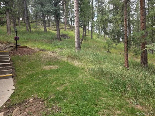 4897 Silver Spruce Lane Evergreen, CO 80439
