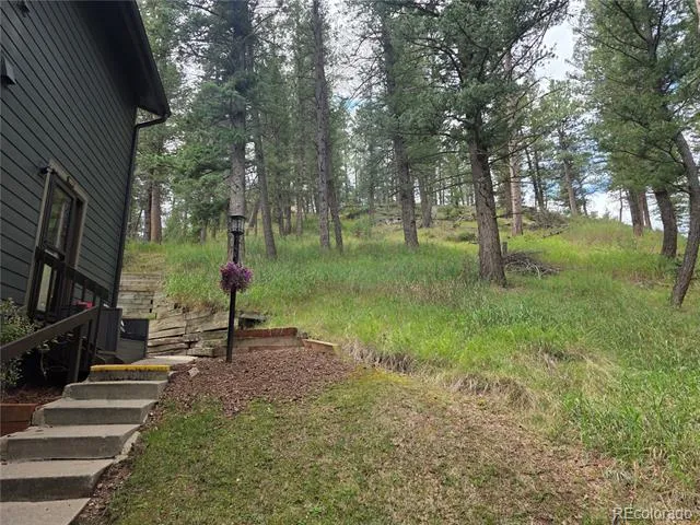 4897 Silver Spruce Lane Evergreen, CO 80439