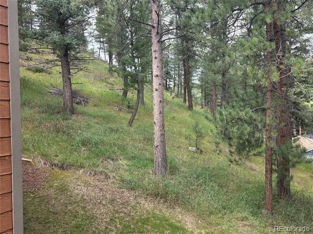 4897 Silver Spruce Lane Evergreen, CO 80439