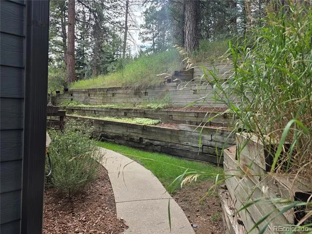 4897 Silver Spruce Lane Evergreen, CO 80439