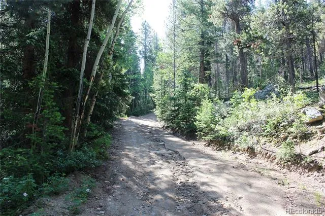 Lot 31 Sunflower Road Black Hawk, CO 80422