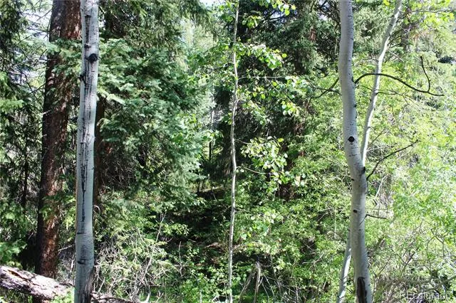 Lot 31 Sunflower Road Black Hawk, CO 80422