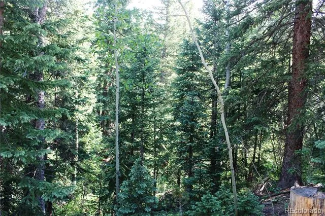 Lot 31 Sunflower Road Black Hawk, CO 80422