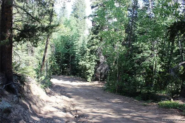 Lot 31 Sunflower Road Black Hawk, CO 80422
