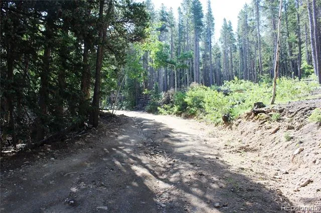 Lot 31 Sunflower Road Black Hawk, CO 80422