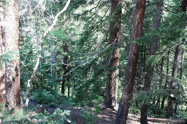 Lot 31 Sunflower Road Black Hawk, CO 80422