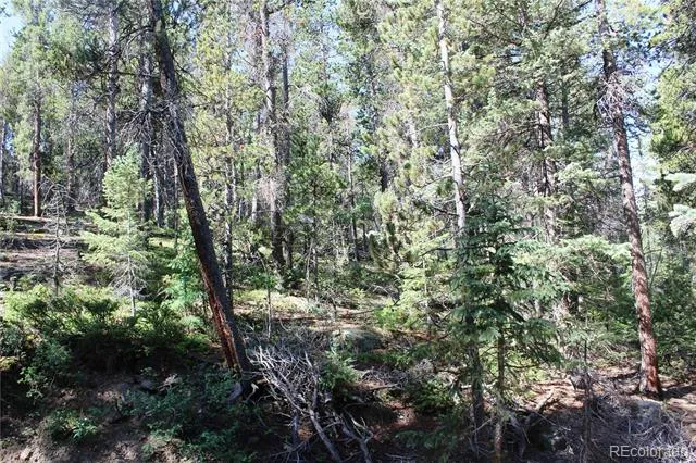 Lot 31 Sunflower Road Black Hawk, CO 80422