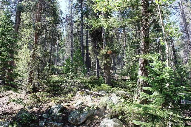Lot 31 Sunflower Road Black Hawk, CO 80422