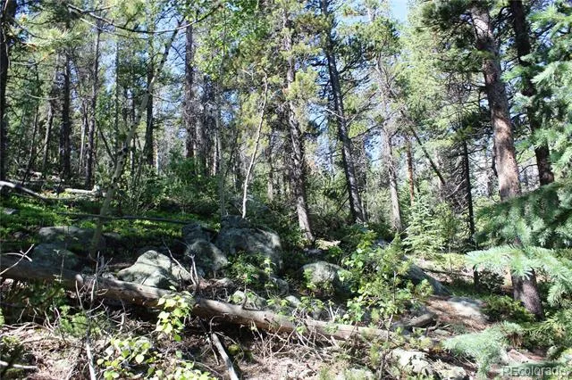 Lot 31 Sunflower Road Black Hawk, CO 80422