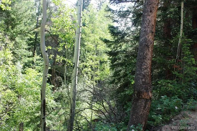 Lot 31 Sunflower Road Black Hawk, CO 80422
