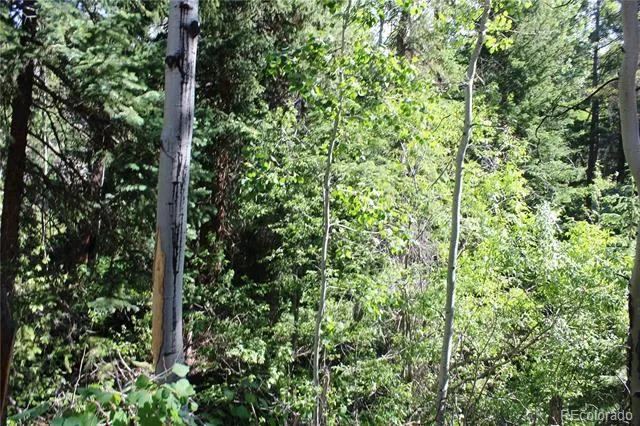 Lot 31 Sunflower Road Black Hawk, CO 80422