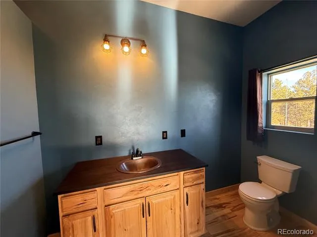 147 Sulky Court Hartsel, CO 80449