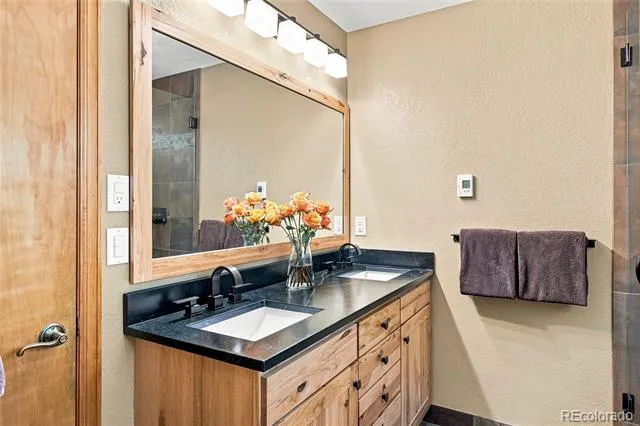 160 Meadowlark Drive Evergreen, CO 80439
